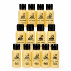 ERELIS Professional Tattoo Shampoo 12 units 